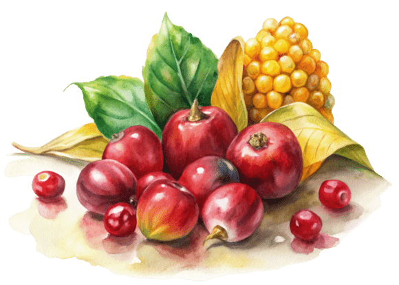 Cranberry Flat 3D Style Graphics and Illustrations Review