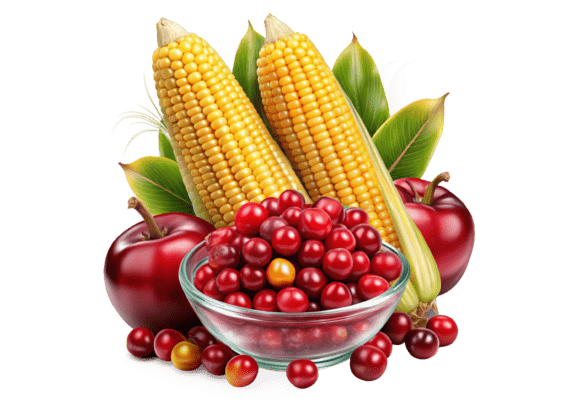 Cranberry Fruits Realistic 3d PNG Graphics and Illustrations Review